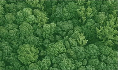 Carbon Capture, USA 2025